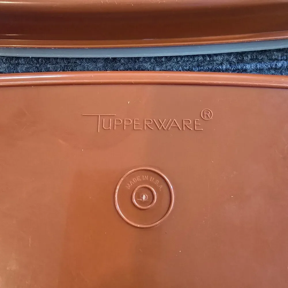 Tupperware orange contains